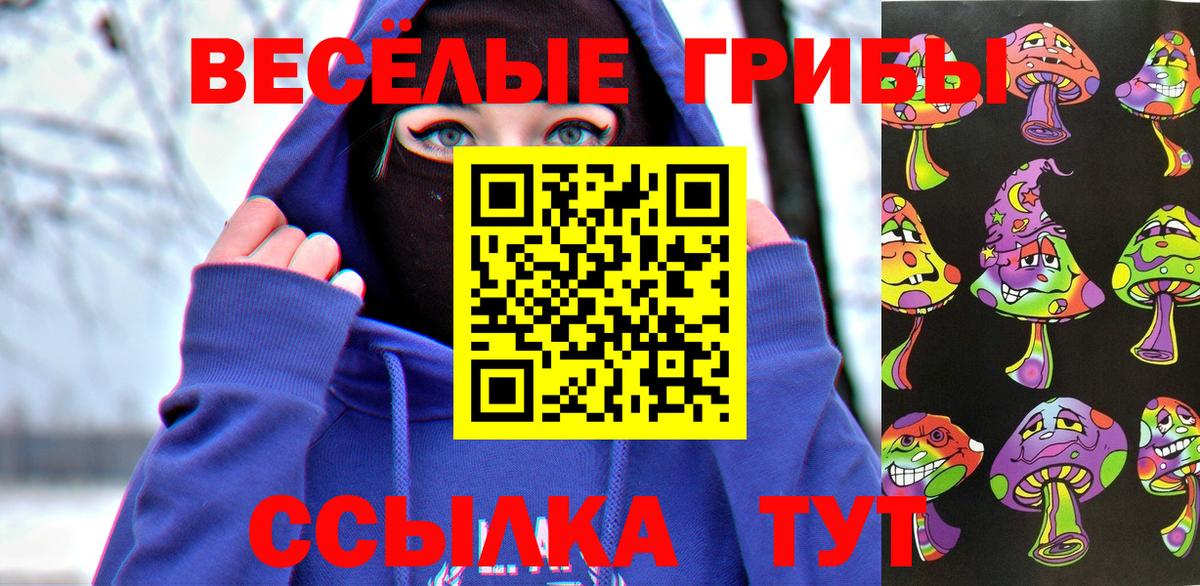 Галлюциногенные грибы Cubensis Коммунар